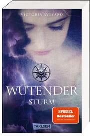 Wütender Sturm - Cover