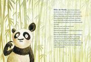Panda-Pand - Abbildung 2