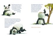 Panda-Pand - Abbildung 4