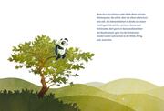 Panda-Pand - Abbildung 5
