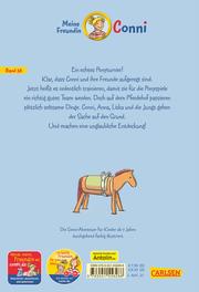 Conni und die Ponyspiele - Illustrationen 2