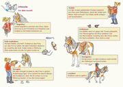 Pony-Silben-Geschichten mit Conni - Illustrationen 3