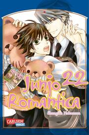 Junjo Romantica 22 - Cover