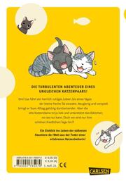 Kleiner Tai & Omi Sue - Süße Katzenabenteuer 1 - Abbildung 1
