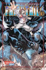 Fairy Tail 30 - Cover