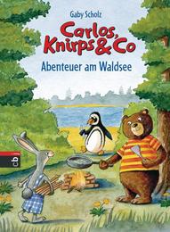 Abenteuer am Waldsee - Cover