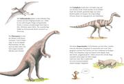 Alles klar! Der kleine Drache Kokosnuss erforscht die Dinosaurier - Abbildung 5