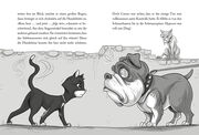 Straßentiger - Jagd nach dem Katzengold - Illustrationen 4