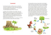 Der kleine Drache Kokosnuss - Mein erstes Wald-Buch - Abbildung 2