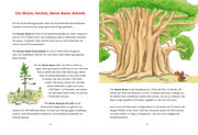 Der kleine Drache Kokosnuss - Mein erstes Wald-Buch - Abbildung 3