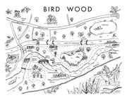 Die Geheimnisse von Birdwood - Die Rettung - Abbildung 1