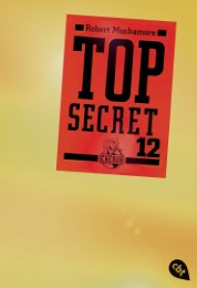 Top Secret 12 - Die Entscheidung - Cover