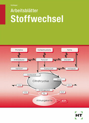 Arbeitsblätter Stoffwechsel - Cover