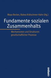 Fundamente sozialen Zusammenhalts - Cover