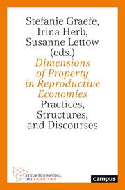 Dimensions of Property in Reproductive Economies