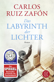 Das Labyrinth der Lichter - Cover