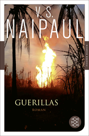 Guerillas - Cover