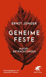 Geheime Feste - Cover