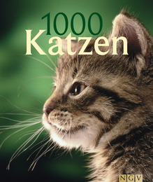 1000 Katzen