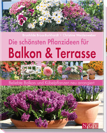 Die schönsten Pflanzideen für Balkon- & Terasse