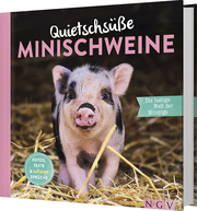 Quietschsüße Minischweine - Cover