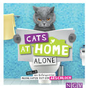 Cats at home alone
