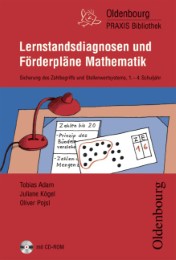 Oldenbourg Praxis Bibliothek / Lernstandsdiagnosen und Förderpläne Mathematik