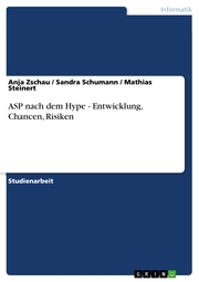 ASP nach dem Hype - Entwicklung, Chancen, Risiken