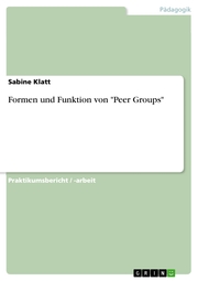 Formen und Funktion von 'Peer Groups'