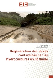 Régénération des sables contaminés par les hydrocarbures en lit fluide