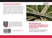 Mortalidad de animales silvestres en calles de Puntarenas Costa Rica