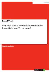 Was trieb Ulrike Meinhof als pazifistische Journalistin zum Terrorismus? - Cover