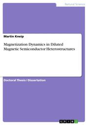 Magnetization Dynamics in Diluted Magnetic Semiconductor Heterostructures - Cover