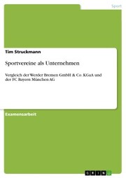 Sportvereine als Unternehmen - Cover