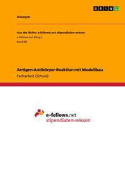 Antigen-Antikörper-Reaktion mit Modellbau