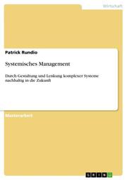 Systemisches Management