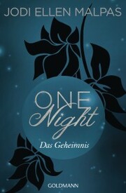 One Night - Das Geheimnis - Cover