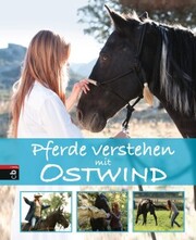 Pferde verstehen mit Ostwind - Cover