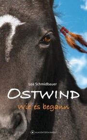 Ostwind - Wie es begann - Cover