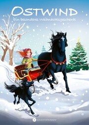 OSTWIND - Ein besonderes Weihnachtsgeschenk - Cover