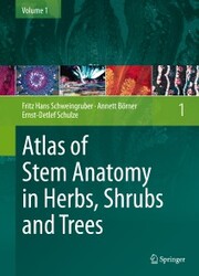 Atlas of Stem Anatomy in Herbs, Shrubs and Trees - Cover