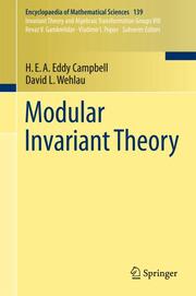 Modular Invariant Theory - Cover