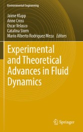 Experimental and Theoretical Advances in Fluid Dynamics - Abbildung 1