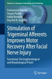 Stimulation of Trigeminal Afferents Improves Motor Recovery After Facial Nerve Injury