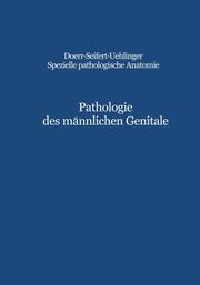 Pathologie des männlichen Genitale - Cover