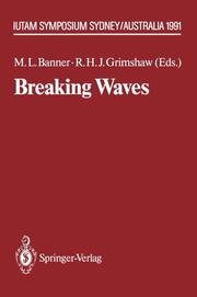 Breaking Waves - Cover