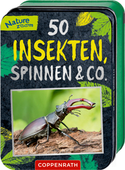 50 Insekten, Spinnen & Co. - Cover