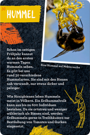 50 Insekten, Spinnen & Co. - Abbildung 2