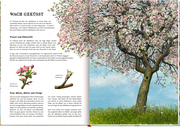 Das große Buch vom Apfelbaum - Abbildung 4