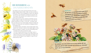 Schmetterling, Hummel und Maikäfer - Abbildung 1